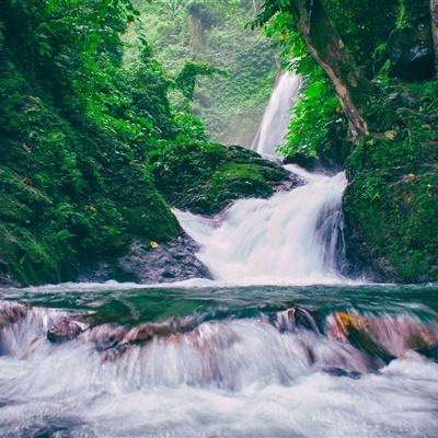 电竞经理人游戏下载
