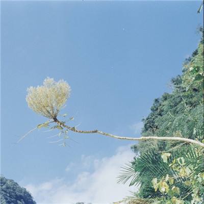 果盘无敌ol变态版下载