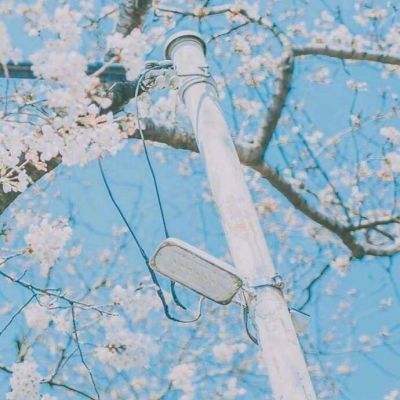 螺旋圆舞曲魅族渠道安装包下载
